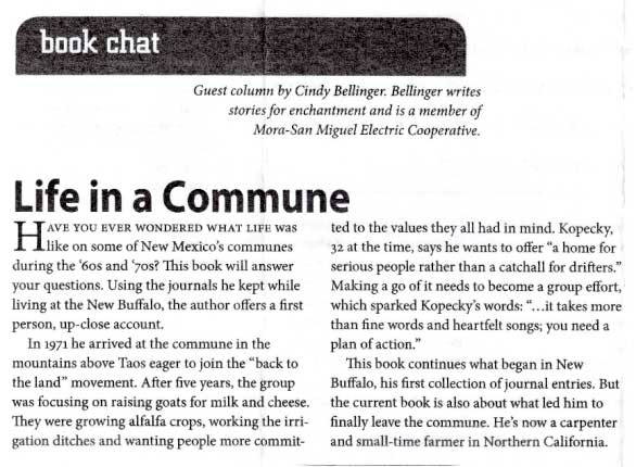 Book Chat newspaper article about Leaving New Buffalo