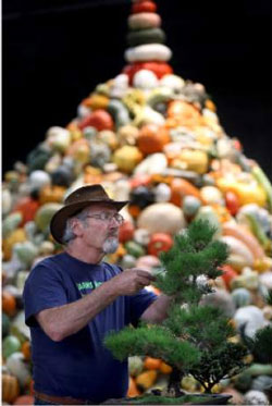 heirloom seeds. Kopecky