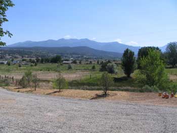 View from the kitchen window